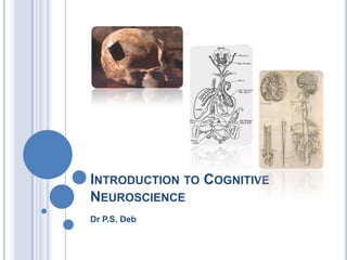 Introduction to Cognitive Neuroscience Dr P.S. Deb 