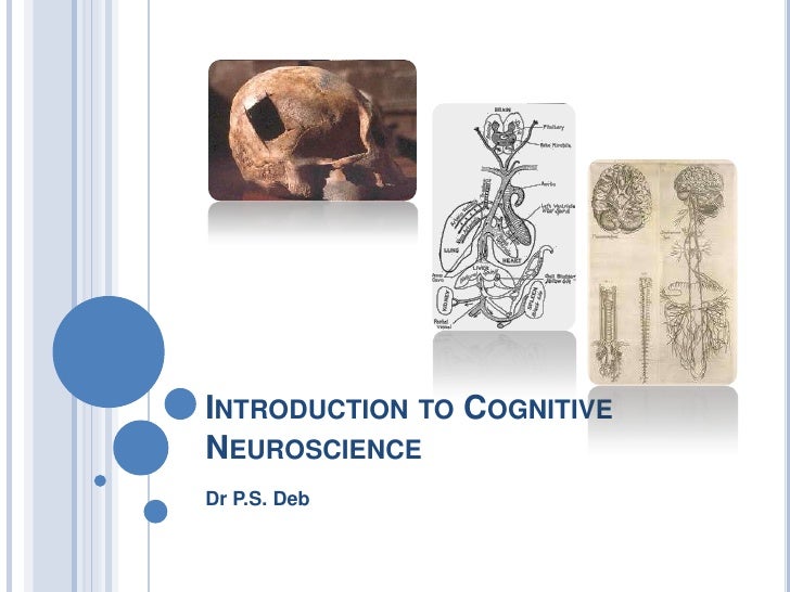 Cognitive Neuroscience Introduction 2011 Cognitive Neuroscience Introduction 2011