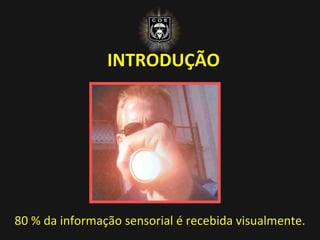 INTRODUÇÃO
80 % da informação sensorial é recebida visualmente.
 