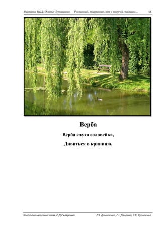 Виставка ППД»Освіта Черкащини» Рослинний і тваринний світ у творчій спадщині… 55 
Верба 
Верба слуха соловейка, 
Дивиться в криницю. 
Золотоніська гімназія ім. С.Д.Скляренка Л.І. Даниленко, Г.І. Даценко, З.Г. Куриленко 
 