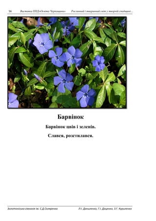 56 Виставка ППД»Освіта Черкащини» Рослинний і тваринний світ у творчій спадщині… 
Барвінок 
Барвінок цвів і зеленів. 
Слався, розстилався. 
Золотоніська гімназія ім. С.Д.Скляренка Л.І. Даниленко, Г.І. Даценко, З.Г. Куриленко 
 