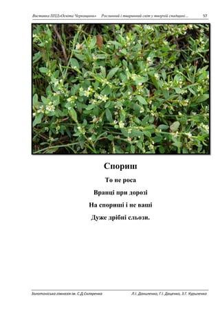 Виставка ППД»Освіта Черкащини» Рослинний і тваринний світ у творчій спадщині… 57 
Спориш 
То не роса 
Вранці при дорозі 
На спориші і не ваші 
Дуже дрібні сльози. 
Золотоніська гімназія ім. С.Д.Скляренка Л.І. Даниленко, Г.І. Даценко, З.Г. Куриленко 
 