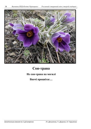 58 Виставка ППД»Освіта Черкащини» Рослинний і тваринний світ у творчій спадщині… 
Сон-трава 
Не сон-трава на могилі 
Вночі процвітає… 
Золотоніська гімназія ім. С.Д.Скляренка Л.І. Даниленко, Г.І. Даценко, З.Г. Куриленко 
 