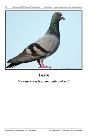 68 Виставка ППД»Освіта Черкащини» Рослинний і тваринний світ у творчій спадщині… 
Голуб 
Чи винна голубка, що голуба любить? 
Золотоніська гімназія ім. С.Д.Скляренка Л.І. Даниленко, Г.І. Даценко, З.Г. Куриленко 
 