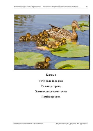 Виставка ППД»Освіта Черкащини» Рослинний і тваринний світ у творчій спадщині… 71 
Качка 
Тече вода із-за гаю 
Та попід горою, 
Хлюпочуться качаточка 
Поміж осокою. 
Золотоніська гімназія ім. С.Д.Скляренка Л.І. Даниленко, Г.І. Даценко, З.Г. Куриленко 
 