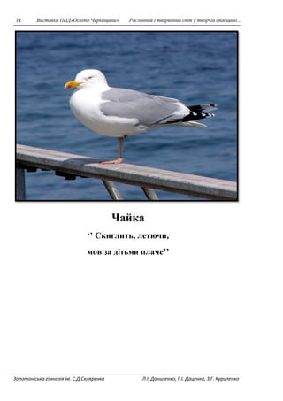 72 Виставка ППД»Освіта Черкащини» Рослинний і тваринний світ у творчій спадщині… 
Чайка 
‘’ Скиглить, летючи, 
мов за дітьми плаче’’ 
Золотоніська гімназія ім. С.Д.Скляренка Л.І. Даниленко, Г.І. Даценко, З.Г. Куриленко 
