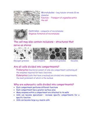 Microtubules – long tubular strands 25 nm
                                diameter
                                Function: - Transport of organelles within
                                the cell




                  Centrioles – composite of microtubules
                  Organize formation of microtubules



The cell may also contain inclusions – structures that
serve as stores




Glycogen granules      Lipid droplets     Secretion granules      Vacuoles


Are all cells divided into compartments?
    Prokaryotes (bacteria) consist of only one compartment containing all
    the enzymes required for basic functions.
    Eukaryotes (cells that have a nucleus) are divided into compartments,
    the most prominent of which is the nucleus.


Why are eukaryotic cells divided into compartments?
• Each compartment performs different functions
• Each compartment has a greater surface area
• Many enzymes within a compartment are attached to its walls
• Cells can become specialized – increase specific compartments for a
  specific function
• Cells can become large e.g. muscle cells
 