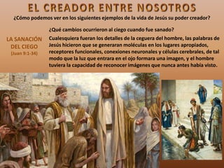 LA SANACIÓN
DEL CIEGO
(Juan 9:1-34)
¿Qué cambios ocurrieron al ciego cuando fue sanado?
Cualesquiera fueran los detalles de la ceguera del hombre, las palabras de
Jesús hicieron que se generaran moléculas en los lugares apropiados,
receptores funcionales, conexiones neuronales y células cerebrales, de tal
modo que la luz que entrara en el ojo formara una imagen, y el hombre
tuviera la capacidad de reconocer imágenes que nunca antes había visto.
¿Cómo podemos ver en los siguientes ejemplos de la vida de Jesús su poder creador?
 