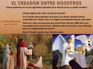 LA RESURRECCIÓN
(Juan 11:38-44)
¿Puede alguien dar vida a lo que ha muerto?
En el cuerpo descompuesto de Lázaro, las células muertas fueron
sustituidas por células vivas, los órganos estropeados fueron reparados.
Piensa en cómo una persona que murió hace más de 5.000 años será
resucitada por la voz de Jesús. ¿Dónde están sus huesos o sus moléculas
para ser reorganizadas de nuevo?
Solo el Creador puede crear vida de nuevo.
¿Cómo podemos ver en los siguientes ejemplos de la vida de Jesús su poder creador?
 