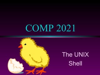The UNIX Shell COMP 2021 