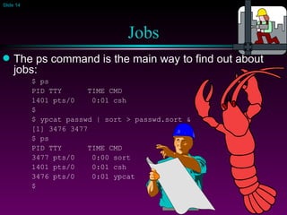 Jobs The ps command is the main way to find out about jobs: $ ps PID TTY  TIME CMD 1401 pts/0  0:01 csh $ $ ypcat passwd | sort > passwd.sort & [1] 3476 3477 $ ps PID TTY  TIME CMD 3477 pts/0  0:00 sort 1401 pts/0  0:01 csh 3476 pts/0  0:01 ypcat $ 