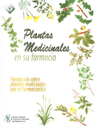 01 cuaderno plantas_medicinales