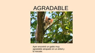 AGRADABLE
Ayer encontré un gatito muy
agradable atrapado en un árbol y
lo rescate.