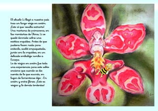 El abuelo Li llegó a nuestro país
tras un largo viaje en avión.
¡Esto sí que resulta extraño!
Una mañana de primavera, en
las montañas de China, Li se
quedó dormido sobre una
exótica orquídea. Antes de que
pudiera hacer nada para
evitarlo, acabó empaquetada,
junto con la orquídea, en un
delicado embalaje rumbo a
Europa.
Lo de viajar en avión fue toda
una experiencia para este sabio
anciano que cuando se dio
cuenta de lo que ocurría, en
lugar de lamentarse dijo: -En
avión y entre flores. ¡Esto es
viajar y lo demás tonterías!
 