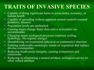 TRAITS OF INVASIVE SPECIES Capable of doing significant harm to ecosystems, economy, or human health Capable of spreading without apparent natural controls (natural predators, disease) Population levels are unchecked Causing major change faster than native ecosystem can accommodate Changing major ecological processes (nutrient cycling, hydrology, fire regime, energy) Destabilizing environmental (physical or community) structure  Forming undesirable monotypic stands of vegetation that replace diverse communities Reducing biodiversity/integrity, causing extirpations and extinctions Reducing or eliminating a natural product, ecological service or other valued attribute 