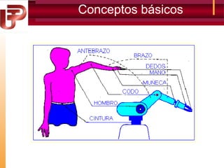Conceptos básicos

 