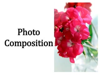 Photo
Composition
 