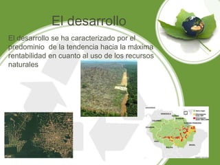 El desarrollo
El desarrollo se ha caracterizado por el
predominio de la tendencia hacia la máxima
rentabilidad en cuanto al uso de los recursos
naturales
 