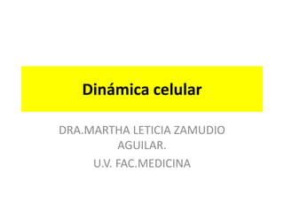 Dinámica celular
DRA.MARTHA LETICIA ZAMUDIO
AGUILAR.
U.V. FAC.MEDICINA
 