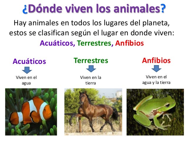 Dónde viven los animales Juan Jose
