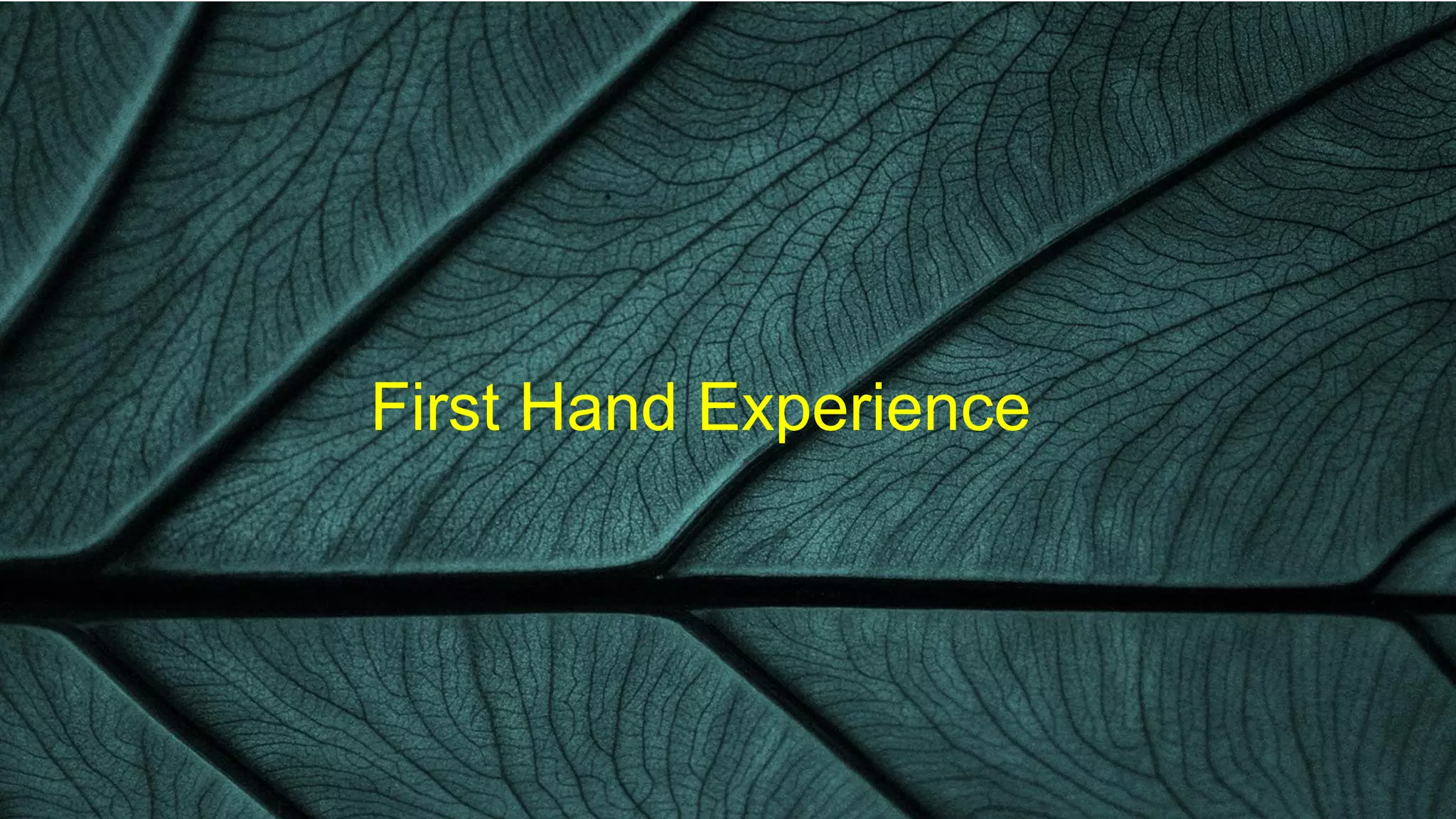 First Hand Experience
 