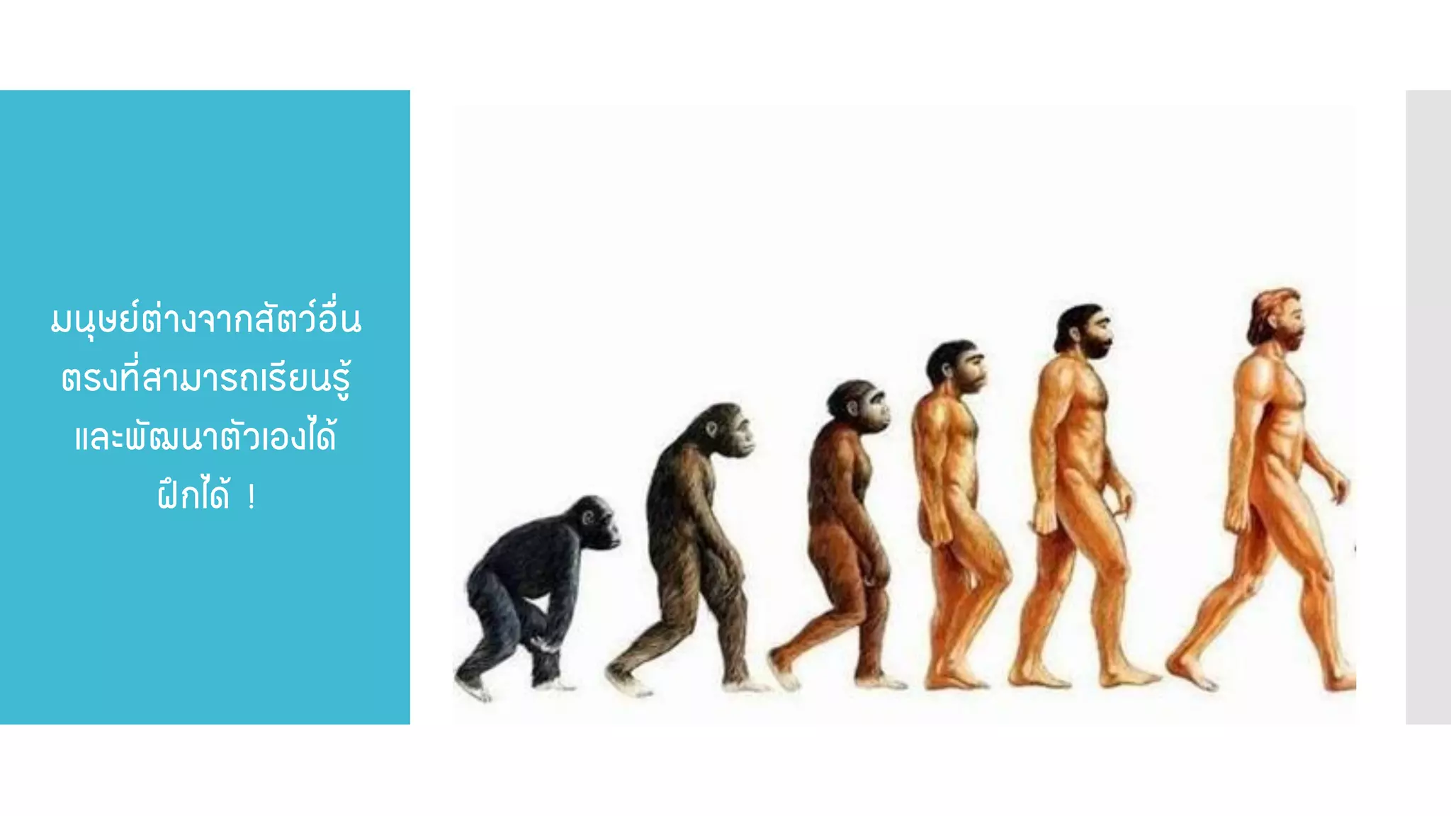 มนุษย์ต่างจากสัตว์อื่น ตรงที่สามารถเรียนรู้ และพัฒนาตัวเองได้ ฝึกได้ !  