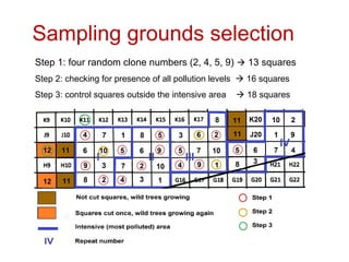 Mycorrhizal mushroom biodiversity | PPT