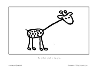 The tallest animal in the world.
www.oup.com/elt/englishfile Photocopiable © Oxford University Press
 