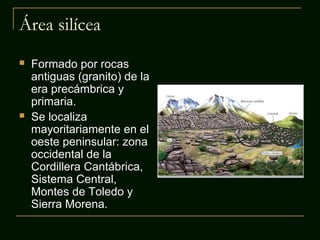 Área silícea
 Formado por rocas
antiguas (granito) de la
era precámbrica y
primaria.
 Se localiza
mayoritariamente en el
oeste peninsular: zona
occidental de la
Cordillera Cantábrica,
Sistema Central,
Montes de Toledo y
Sierra Morena.
 