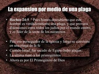 La expansion por medio de una plaga
• Hechos 24:5 5 Pues hemos descubierto que este
hombre es verdaderamente una plaga, y que provoca
disensiones entre todos los judíos por el mundo entero,
y es líder de la secta de los nazarenos.
• Palo era perseguidor de la Iglesia y luego se convierte
en una plaga de la fe
• Cuando Israel fue sacado de Egipto hubo plagas.
• La ultima mato a los primogénitos
• Ahora es por El Primogénito de Dios
 