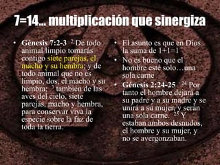 7=14… multiplicación que sinergiza
• Génesis 7:2-3 2 De todo
animal limpio tomarás
contigo siete parejas, el
macho y su hembra; y de
todo animal que no es
limpio, dos, el macho y su
hembra; 3 también de las
aves del cielo, siete
parejas, macho y hembra,
para conservar viva la
especie sobre la faz de
toda la tierra.
• El asunto es que en Dios
la suma de 1+1=1
• No es bueno que el
hombre esté solo…una
sola carne
• Génesis 2:24-25 24 Por
tanto el hombre dejará a
su padre y a su madre y se
unirá a su mujer, y serán
una sola carne. 25 Y
estaban ambos desnudos,
el hombre y su mujer, y
no se avergonzaban.
 