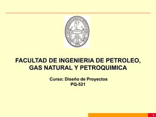 1
FACULTAD DE INGENIERIA DE PETROLEO,
GAS NATURAL Y PETROQUIMICA
Curso: Diseño de Proyectos
PQ-521
 
