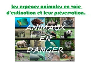 Les espèces animales en voie
d'extinction et leur préservation.
 