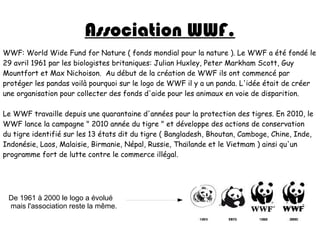 Association WWF.
WWF: World Wide Fund for Nature ( fonds mondial pour la nature ). Le WWF a été fondé le
29 avril 1961 par les biologistes britaniques: Julian Huxley, Peter Markham Scott, Guy
Mountfort et Max Nichoison. Au début de la création de WWF ils ont commencé par
protéger les pandas voilà pourquoi sur le logo de WWF il y a un panda. L'idée était de créer
une organisation pour collecter des fonds d'aide pour les animaux en voie de disparition.
Le WWF travaille depuis une quarantaine d'années pour la protection des tigres. En 2010, le
WWF lance la campagne " 2010 année du tigre " et développe des actions de conservation
du tigre identifié sur les 13 états dit du tigre ( Bangladesh, Bhoutan, Camboge, Chine, Inde,
Indonésie, Laos, Malaisie, Birmanie, Népal, Russie, Thaïlande et le Vietmam ) ainsi qu'un
programme fort de lutte contre le commerce illégal.
De 1961 à 2000 le logo a évolué
mais l'association reste la même.
 
