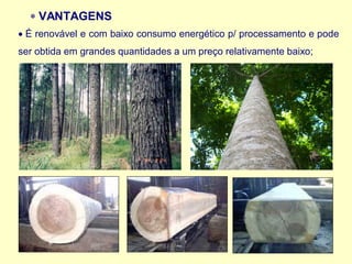  VANTAGENS
• É renovável e com baixo consumo energético p/ processamento e pode
ser obtida em grandes quantidades a um preço relativamente baixo;
 
