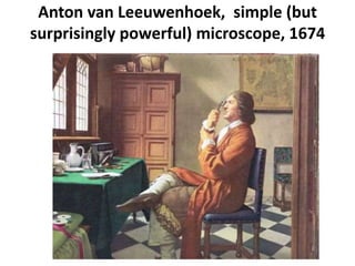 Anton van Leeuwenhoek, simple (but
surprisingly powerful) microscope, 1674
 