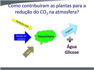 Como contribuíram as plantas para a
redução do CO2 na atmosfera?
Dióxido de
carbono
Fotossíntese
 