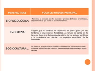 PERSPECTIVAS FOCO DE INTERES PRINCIPAL 
BIOPSICOLÓGICA 
Reacciona la conducta con los sucesos y procesos biológicos o fisiológicos, 
especialmente lo que ocurre en el sistema nervioso. 
EVOLUTIVA 
Sugiere que la conducta es moldeada en cierto grado por las 
tendencia y disposiciones heredadas. A menudo se centra en la 
tarea de determinar la importancia relativa de los factores genéticos 
y la experiencia en relación con aspectos específicos de la 
conductas. 
SOCIOCULTURAL. 
Se centra en el impacto de los factores culturales sobre varios aspectos de la 
conducta. Reconoce que la conducta esta fuertemente determinada por dichos 
factores. 
 
