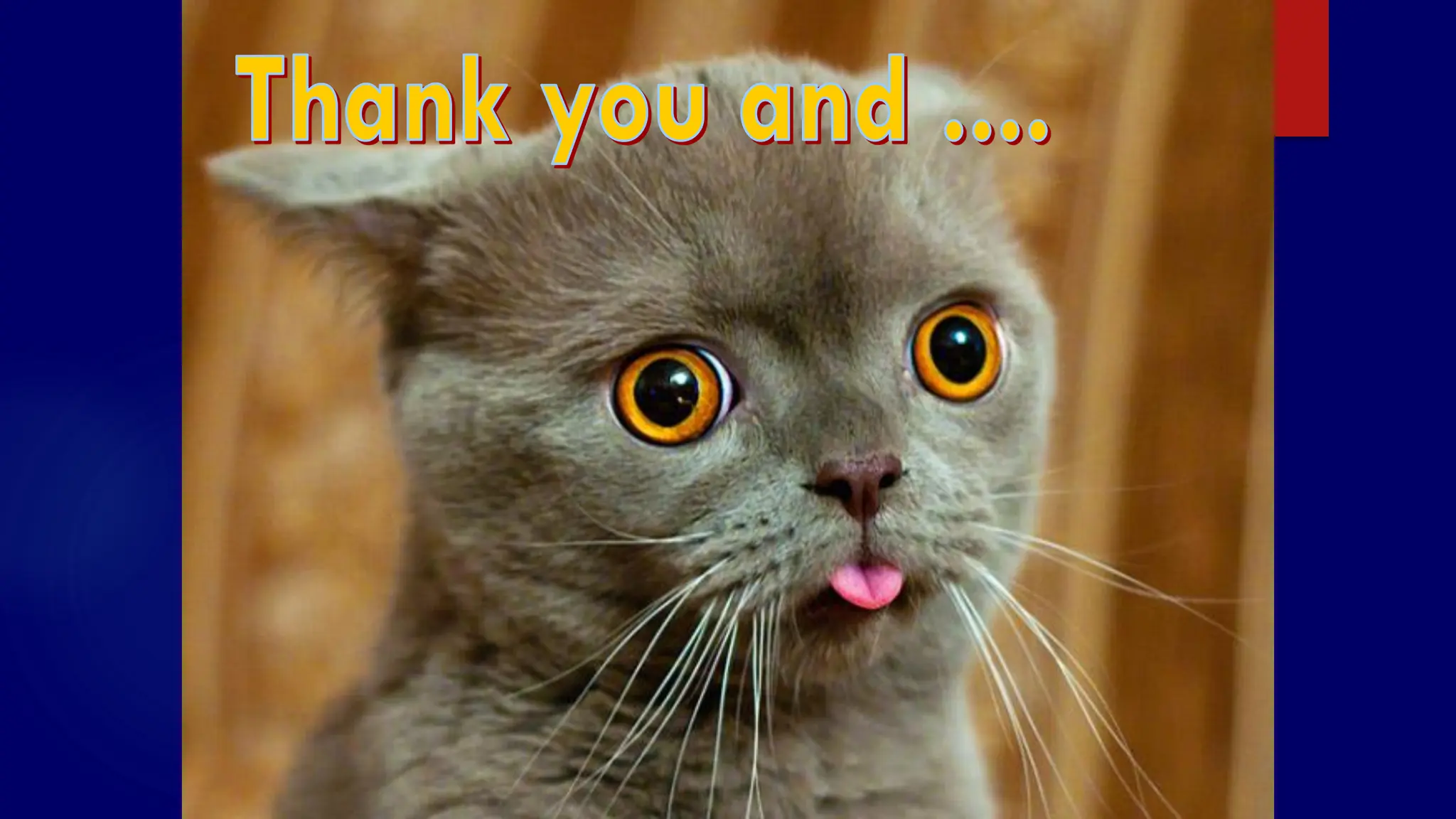 SS/EBM/IKA-UDIP-2010
 