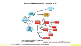 Whole Genome Sequencing and Food Safety: Potential relevance to the ...