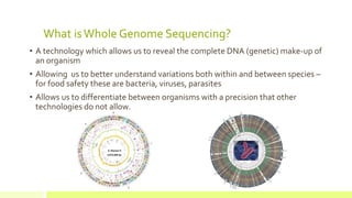 Whole Genome Sequencing and Food Safety: Potential relevance to the ...