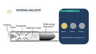 Comprehensive Academic Overview of Firearms Ballistics: Internal ...