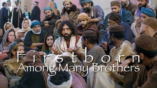 Among Many Brothers
F i r s t b o r n
 