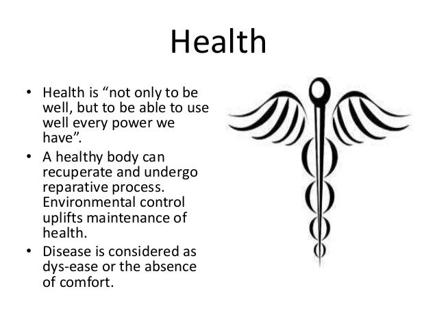 florence nightingales environment theory florence nightingale theory