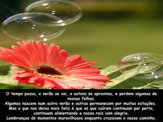 O tempo passa, o verão se vai, o outono se aproxima, e perdem algumas de nossas folhas. Algumas nascem num outro verão e outras permanecem por muitas estações.  Mas o que nos deixa mais feliz é que as que caíram continuam por perto, continuam alimentando a nossa raiz com alegria. Lembranças de momentos maravilhosos enquanto cruzavam o nosso caminho. 