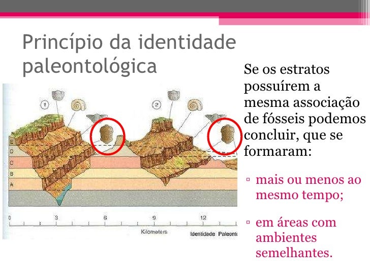 Resultado de imagem para principios estratigráficos: identidade dos estratos