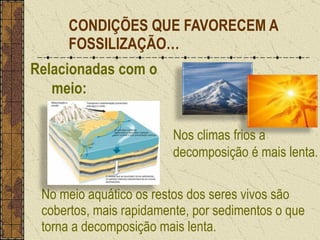 No meio aquático os restos dos seres vivos são cobertos, mais rapidamente, por sedimentos o que torna a decomposição mais lenta. CONDIÇÕES QUE FAVORECEM A FOSSILIZAÇÃO… Nos climas frios a decomposição é mais lenta. Relacionadas com o meio: 