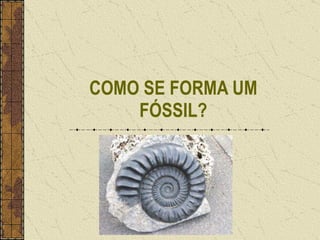 COMO SE FORMA UM FÓSSIL? 