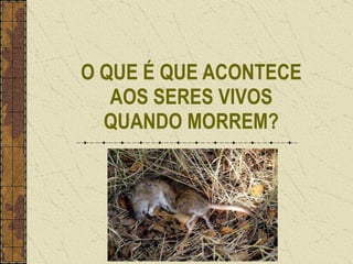 O QUE É QUE ACONTECE AOS SERES VIVOS QUANDO MORREM? 