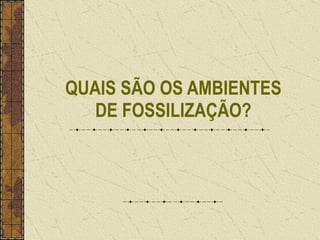 QUAIS SÃO OS AMBIENTES DE FOSSILIZAÇÃO? 
